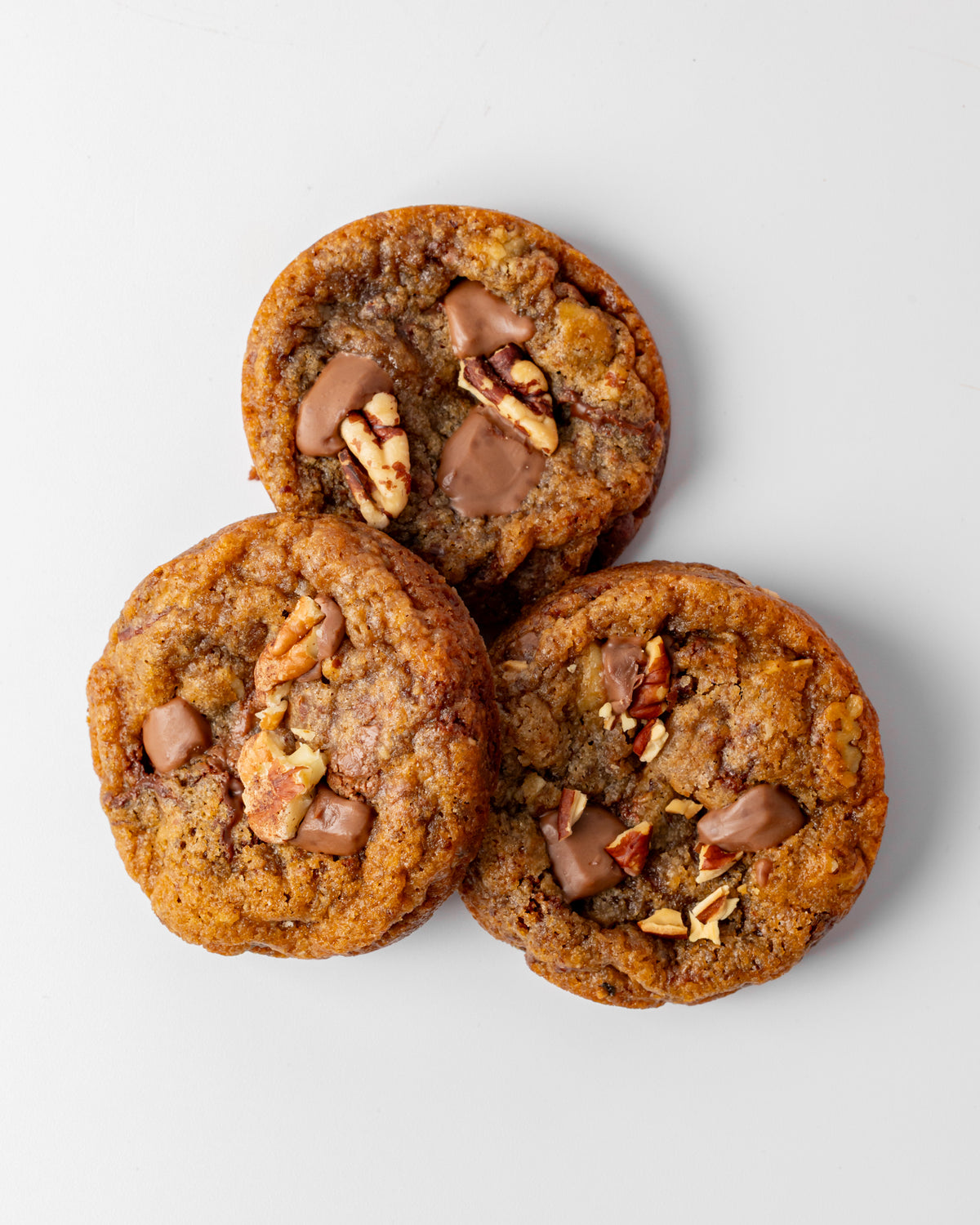 Chocolate Chip Cookie