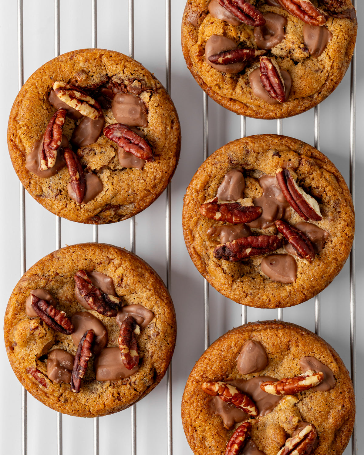 Chocolate Chip Cookie